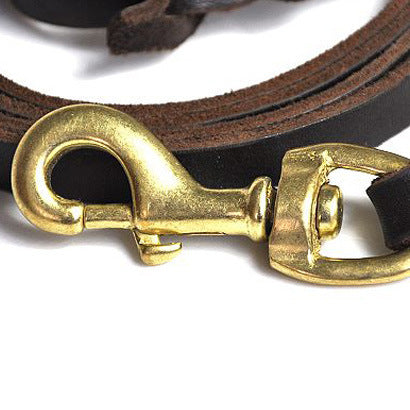 High-grade pet leather traction rope